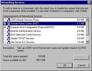Active Directory Tutorial -- Networking Services Screenshot