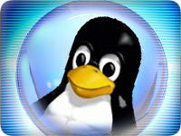 Real-Time Linux Kernel